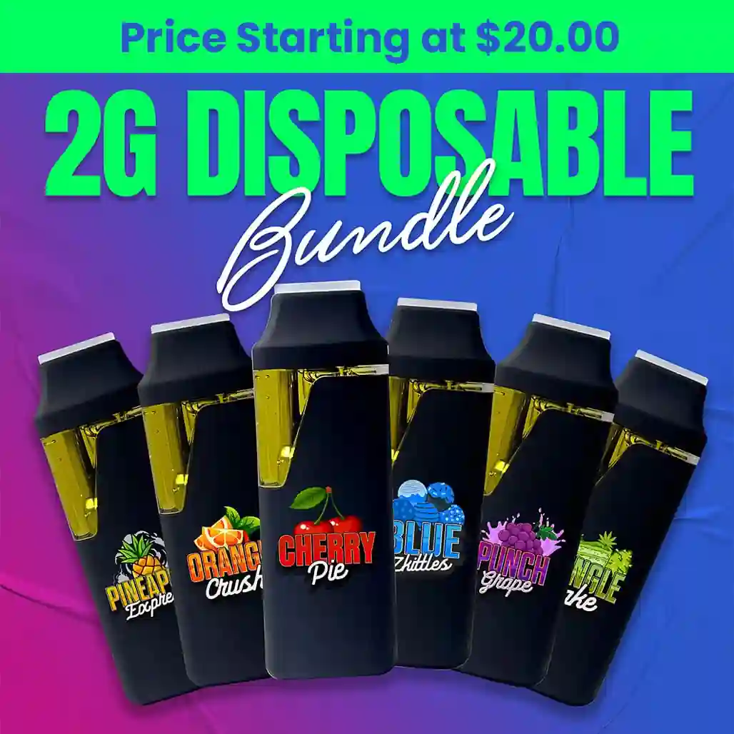 Flavor Treasure 2G Disposable Bundle