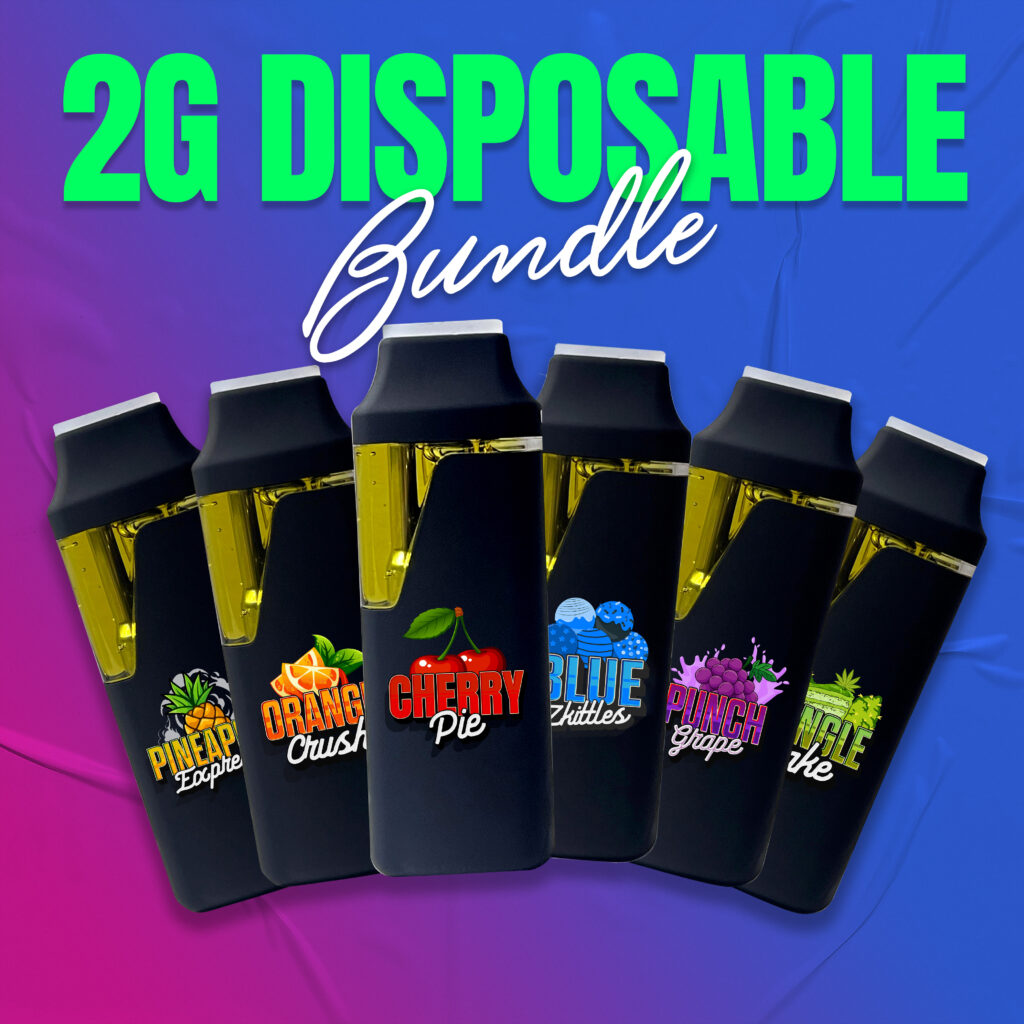 Flavor Treasure 2G Disposable Bundle