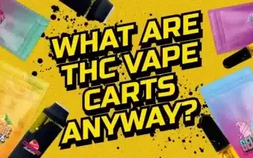 Where to Buy THC Vape Carts Online 2025 Guide Where to Buy THC Vape Carts Online 2025 Guide