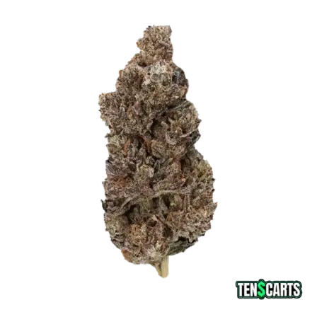 Gucci Pink AAAA cannabis flower – Indica hybrid strain with fruity berry flavor – Buy Online in Canada