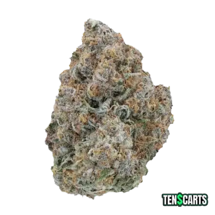 Calie Citrus AAAA cannabis flower – Sativa hybrid strain with citrus flavor – TenDollarCarts
