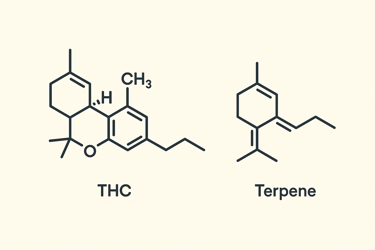 Cannabis terpene profile chart showing chemical composition