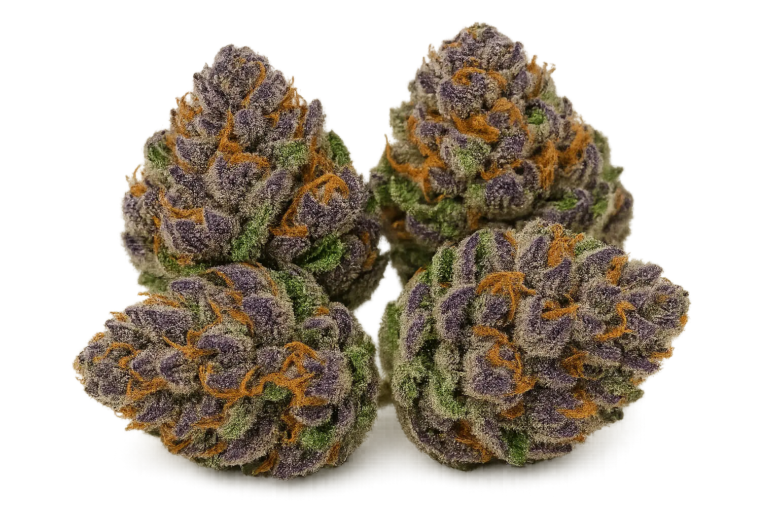 Grape Cream Cake strain buds