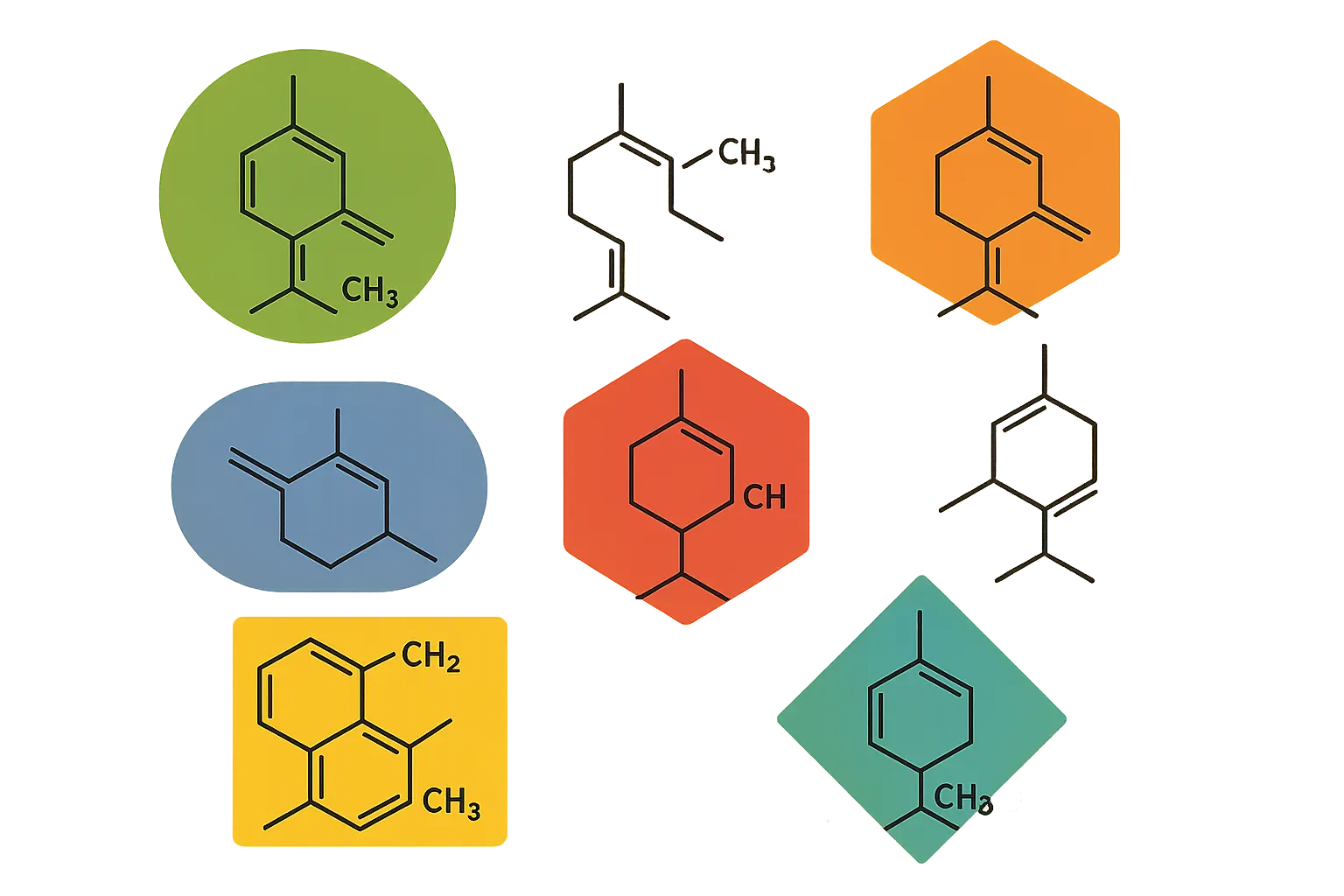 Blue Zushi terpene profile and aromatic compounds