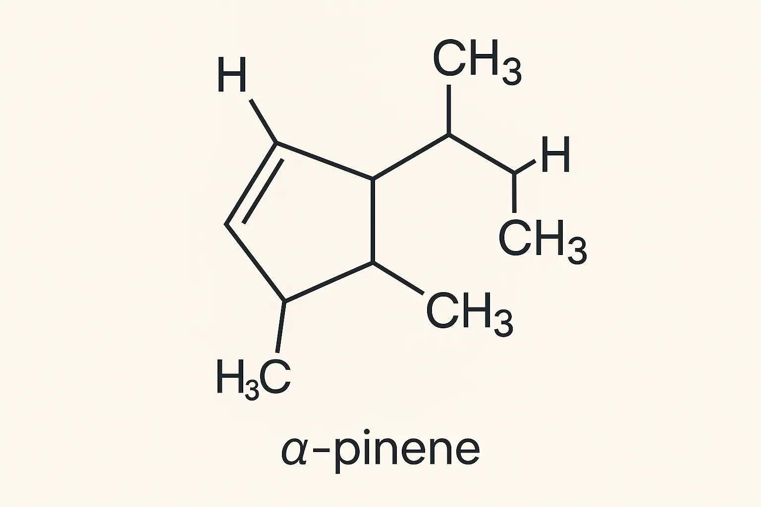 Pine Tar Kush terpene and cannabinoid profile breakdown