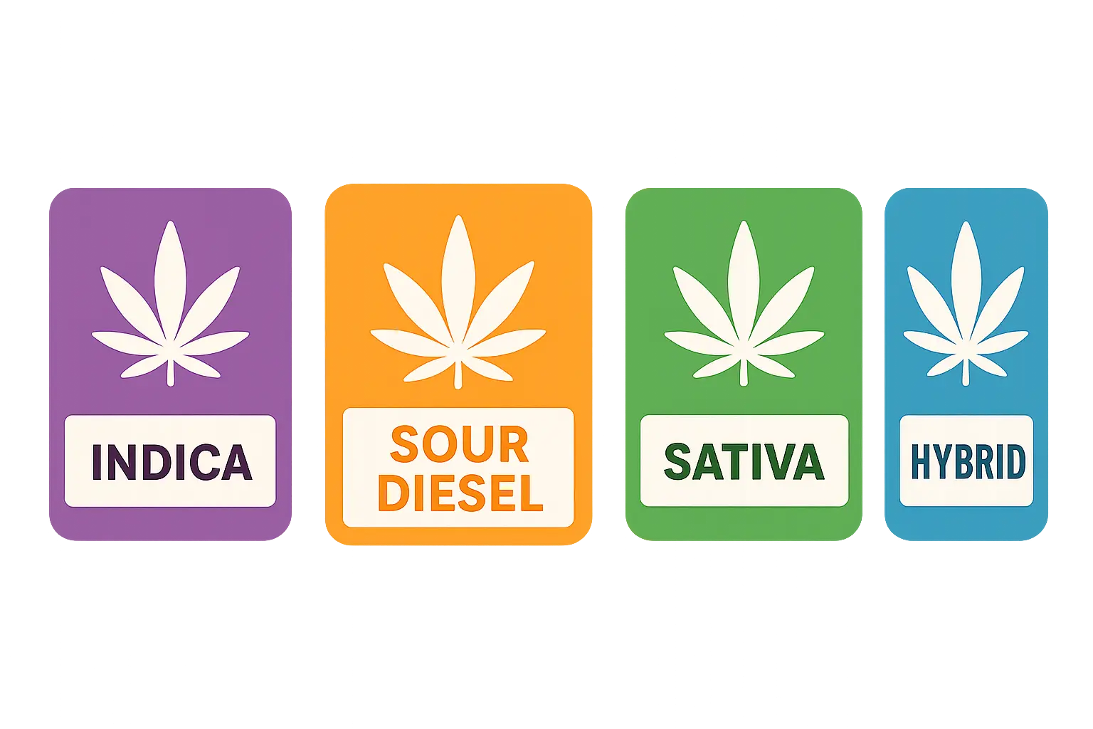 Cannabis strain comparison chart showing Sour Diesel effects