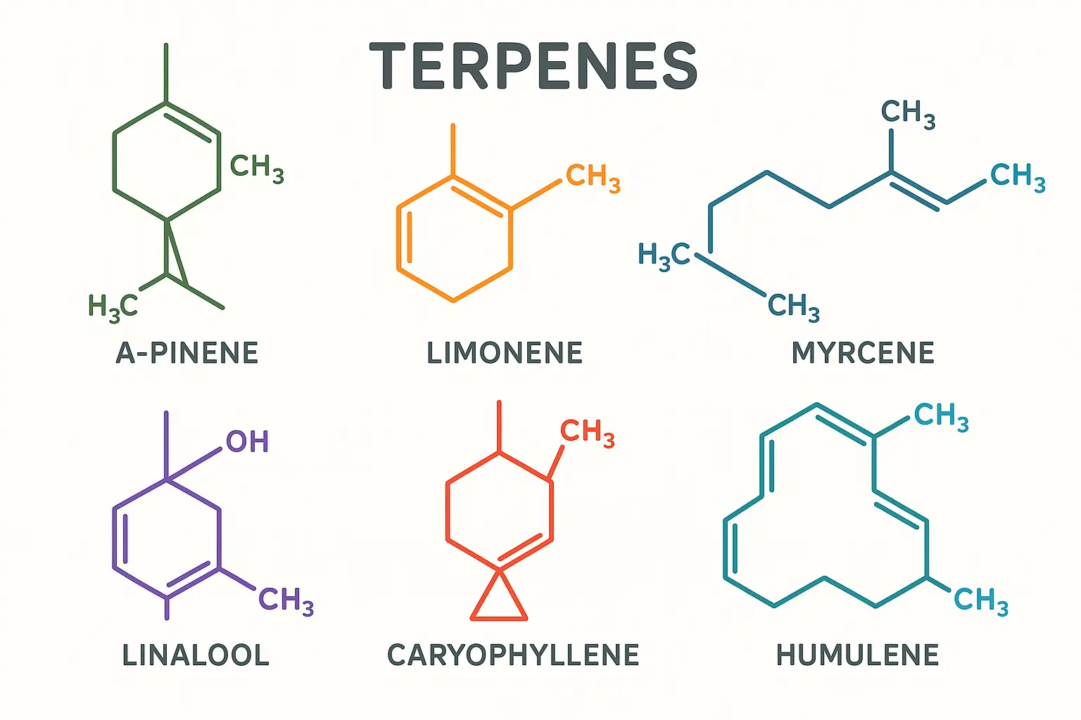 Cannabis terpene molecular structure