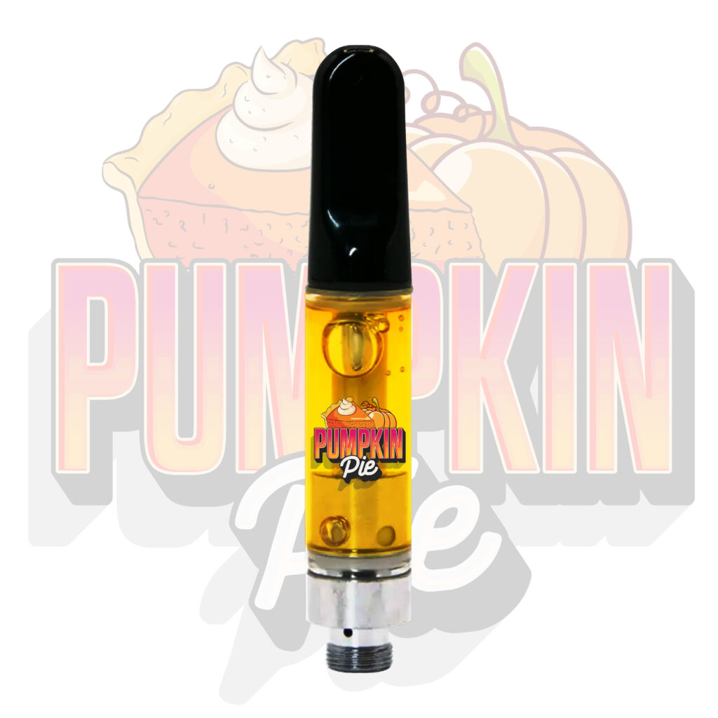 Pumpkin Pie 1G